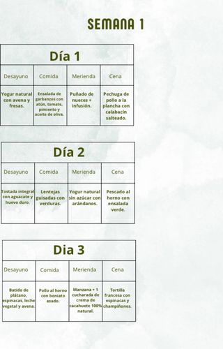 Ebook Menú Saludable 30 Días