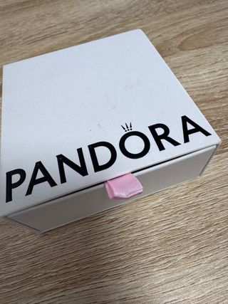 Pulsera y Charm Pandora Eslabones Link