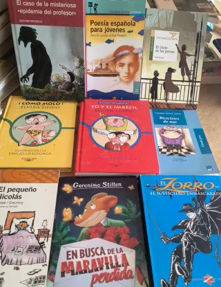 Lote 10 Libros Infantiles y Juveniles