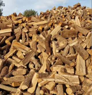 Leña de olivo, almendro y más
