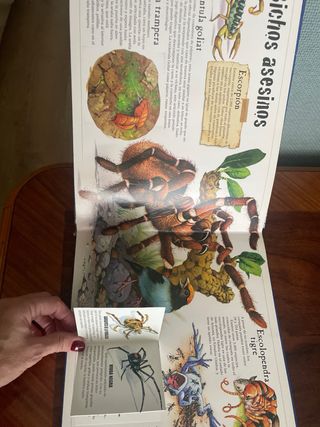 Dinosaurios (Vive una aventura / Experience an ...