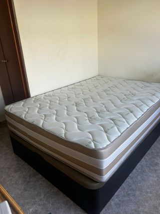 Canapés y colchones