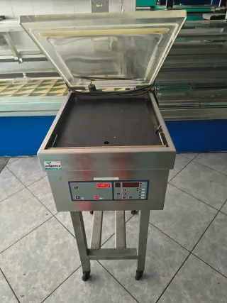 Envasadora al vacío profesional