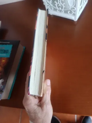 EL OJO DE NEFERTITI (Spanish Edition)