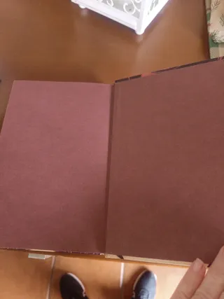 EL OJO DE NEFERTITI (Spanish Edition)