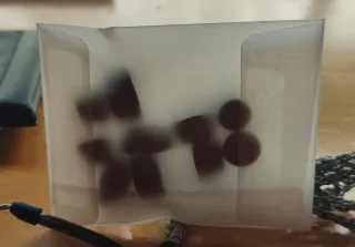 Sennheiser IE 200 Auriculares Cableados