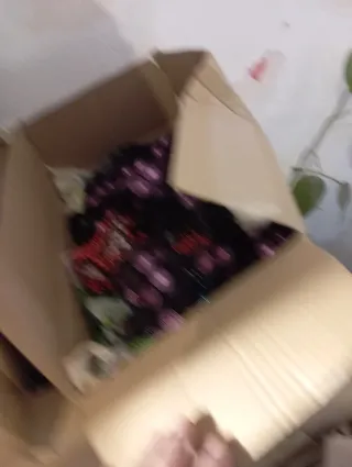 Lotes de encajes y pasamanería