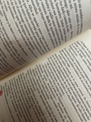 El Libro de Skye (Spanish Edition)