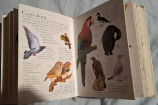 Enciclopedia degli animali