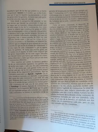 Fundamentos de Psicobiología