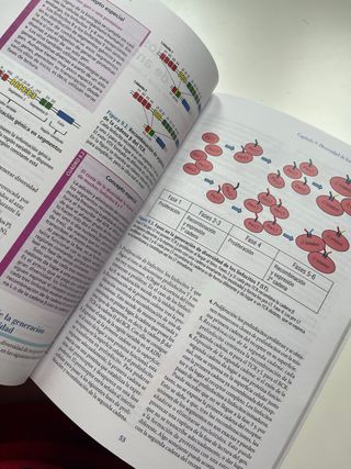 Inmunología básica para medicina