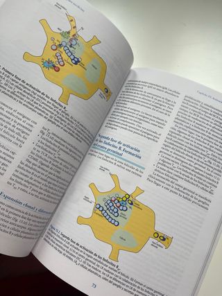 Inmunología básica para medicina