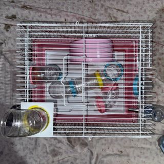 Gabbia per criceti rosa con accessori