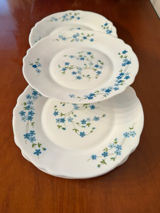 6 Piatti Piatti Arcopal Fiori Blu