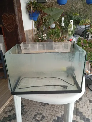 Pecera grande de cristal