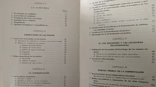 Vinificación en Países Cálidos - Juan Marcilla