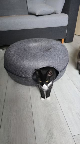 Tana Per Gatti 50 Cm Cuccia Da Interno Casa Letto