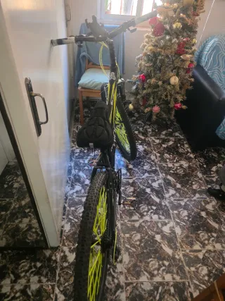 Bicicleta BIOCYCLE negra y verde