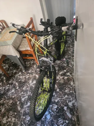 Bicicleta BIOCYCLE negra y verde