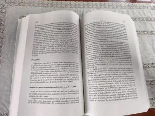 Derecho Penal Parte Especial 23ª Edición, revisada