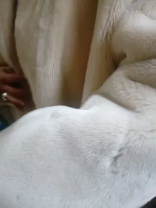 Abrigo de pelo beige