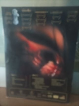 Lote 3 DVDs Terror: Bendición Mortal, Sin Reglas,