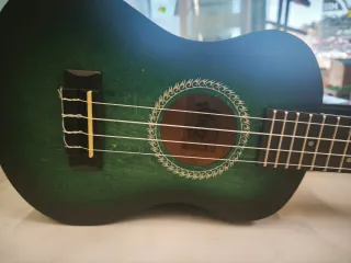 Ukelele Winzz verde con funda y accesorios