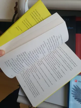 Como pez en el árbol / Fish in a Tree (Spanish ...