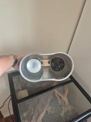 Terrario para reptil