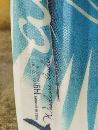 Esquís con bastones