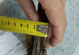 Eguzkilore artesanal sobre madera vieja,OngiEtorri