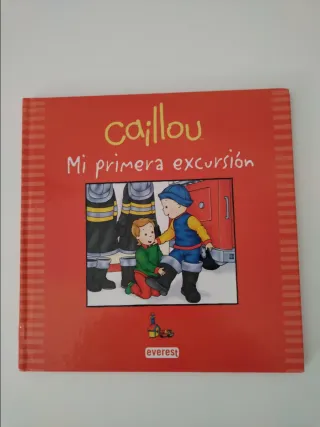Lote 6 cuentos Caillou