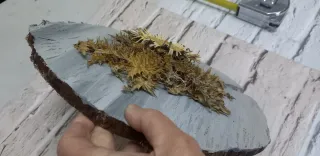 Eguzkilore artesanal sobre tronco fino de madera