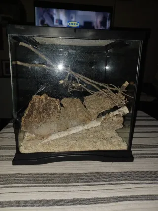 Terrario para reptiles