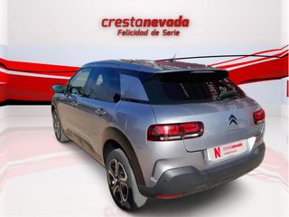 C4Cactus - DESDE 185€/MES ¡SIN PAGAR ENTRADA!