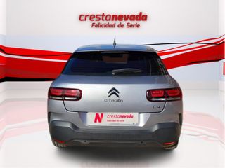 C4Cactus - DESDE 185€/MES ¡SIN PAGAR ENTRADA!
