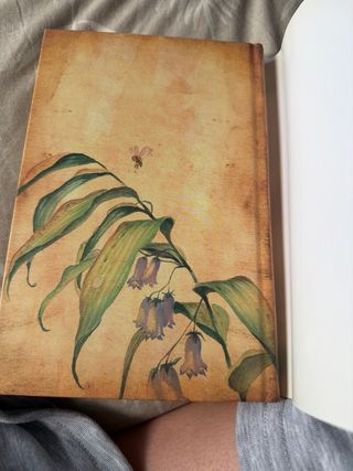 Fairy Oak. Capitán Grisam y el amor: Fairy Oak....