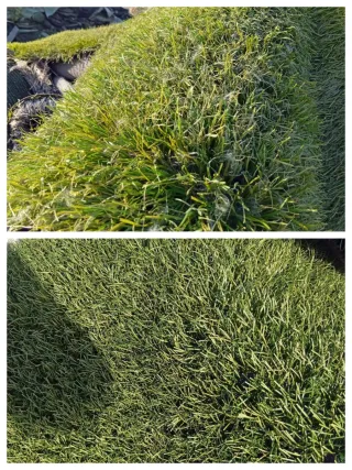 Césped artificial reciclado