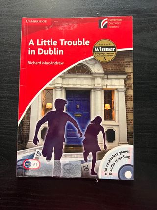 A Little Trouble in Dublin