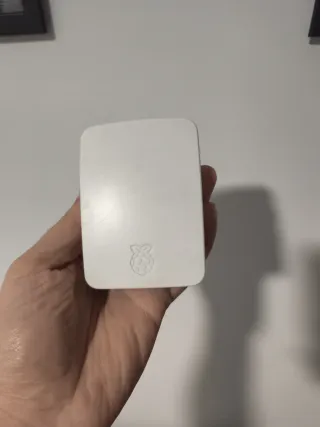 Raspberry Pi 2 B con carcasa