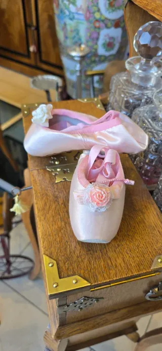 Zapatillas Ballet Vintage Rosas
