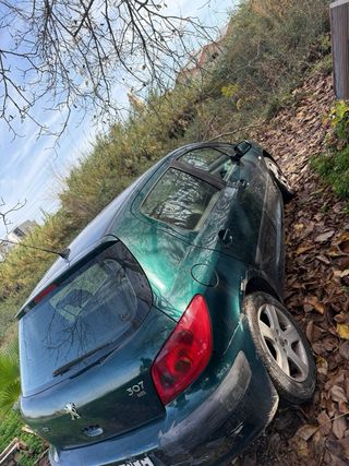 Peugeot 307 2005