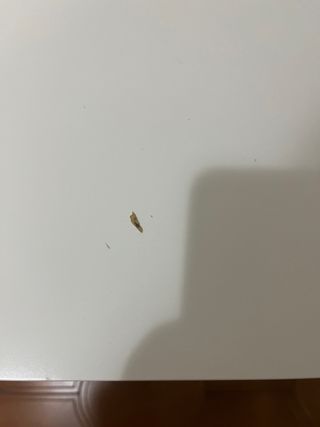 Mesa de estudio blanca