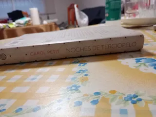 Noches de terciopelo (libro de la serie Velvet)