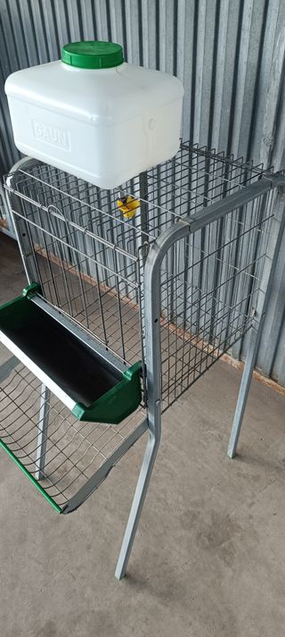 Jaula para gallinas con bebedero