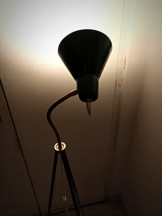 Lampada da terra a collo d'oca anni '50