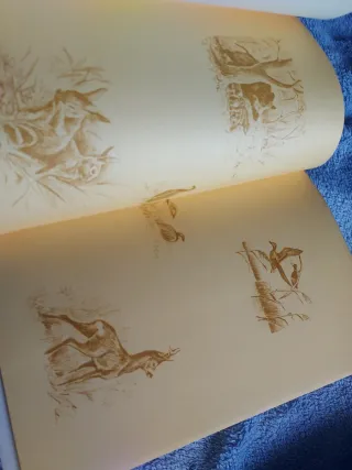 2 Libros de caza Cazadores y España Agreste. Giner