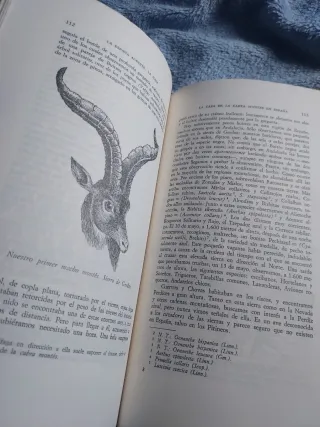 2 Libros de caza Cazadores y España Agreste. Giner