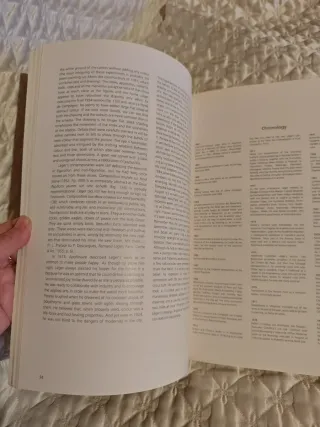 Fernand Léger A Painter in the City