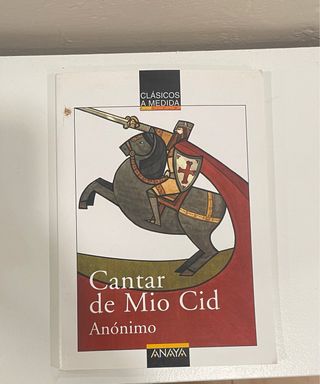 Cantar de Mio Cid (Clasicos a Medida) (Spanish ...